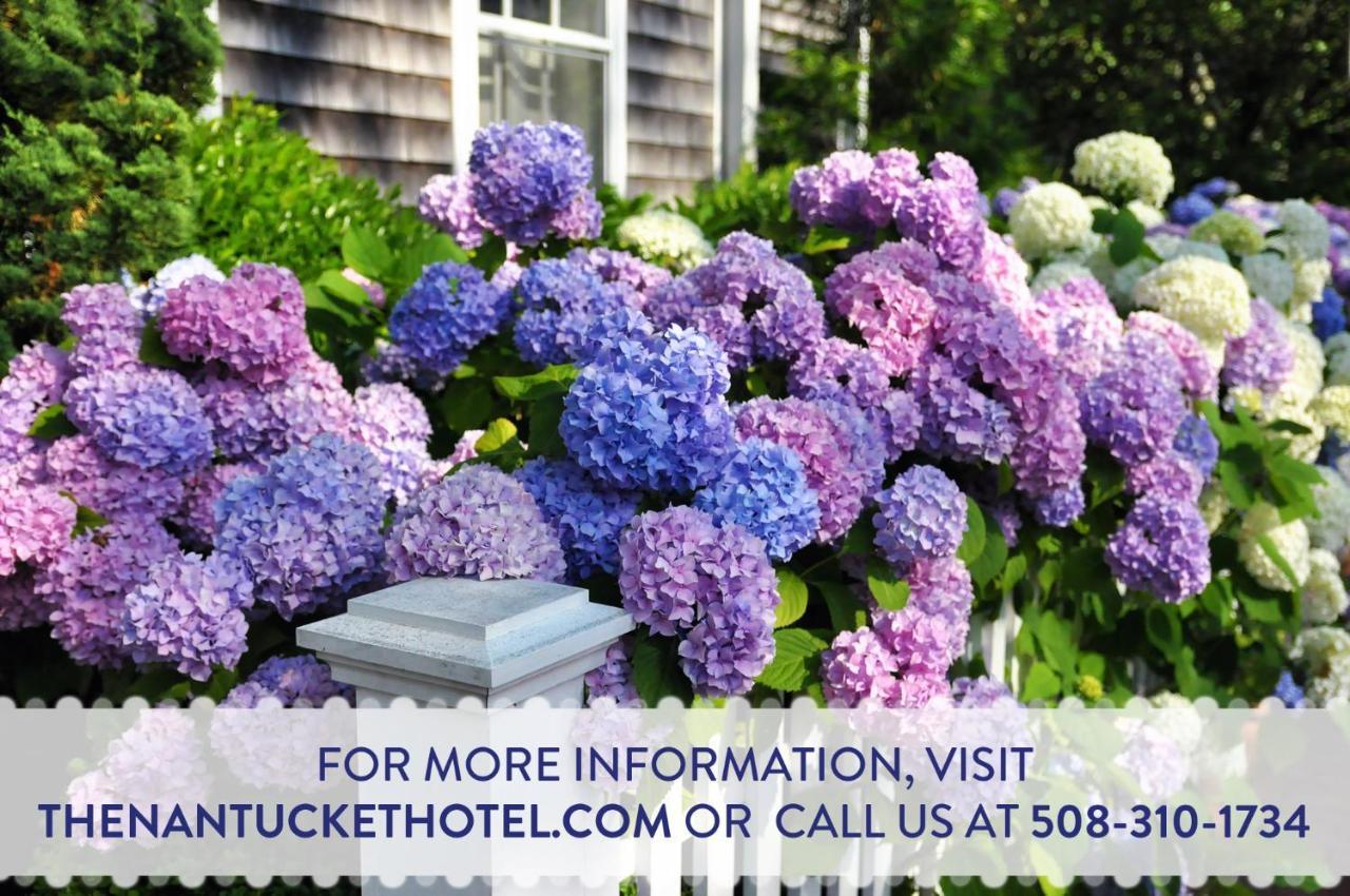 Hotel The & Nantucket